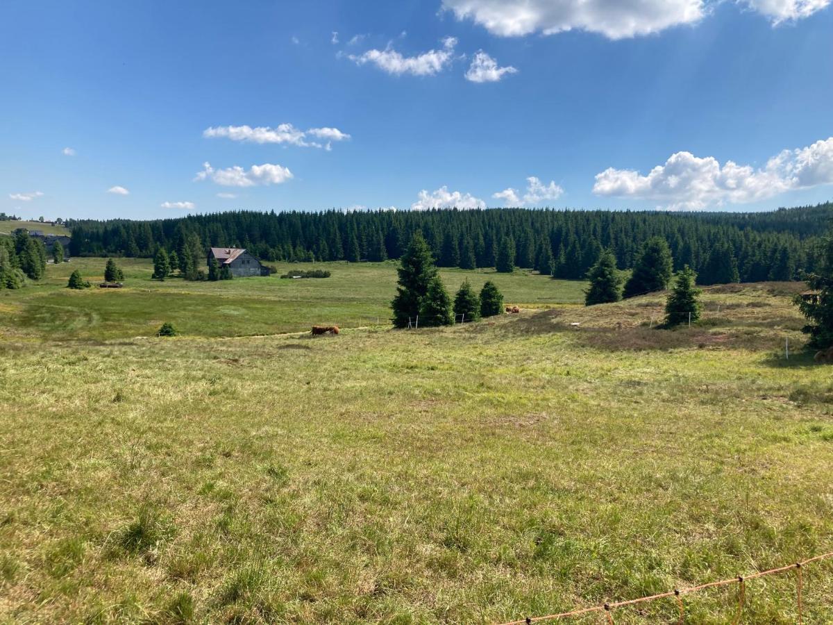 Apartmany V Lese Bedřichov Exteriör bild
