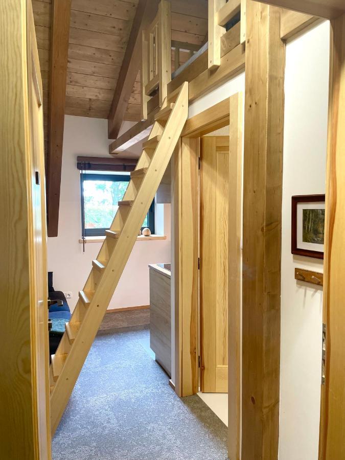 Apartmany V Lese Bedřichov Exteriör bild