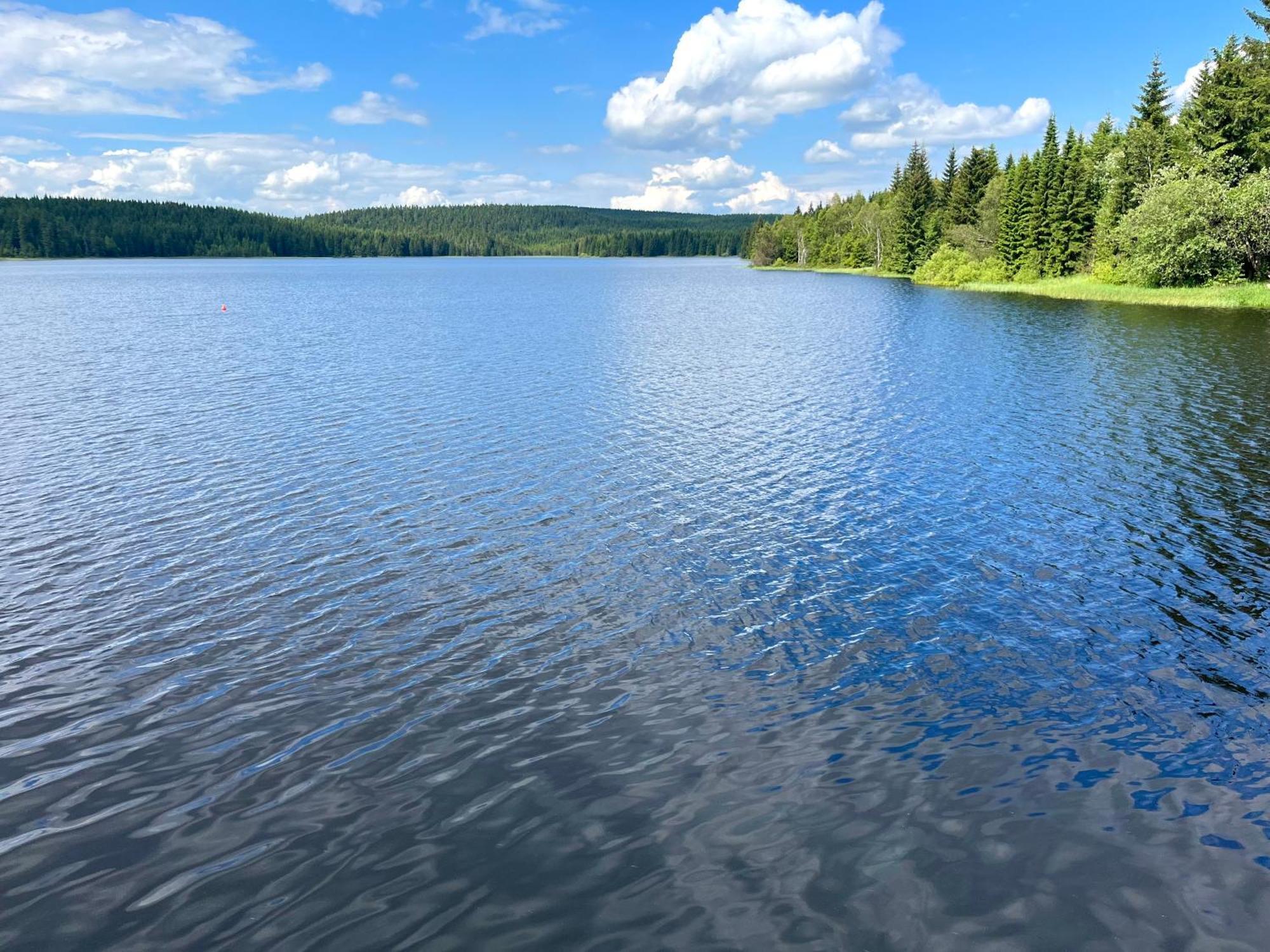 Apartmany V Lese Bedřichov Exteriör bild