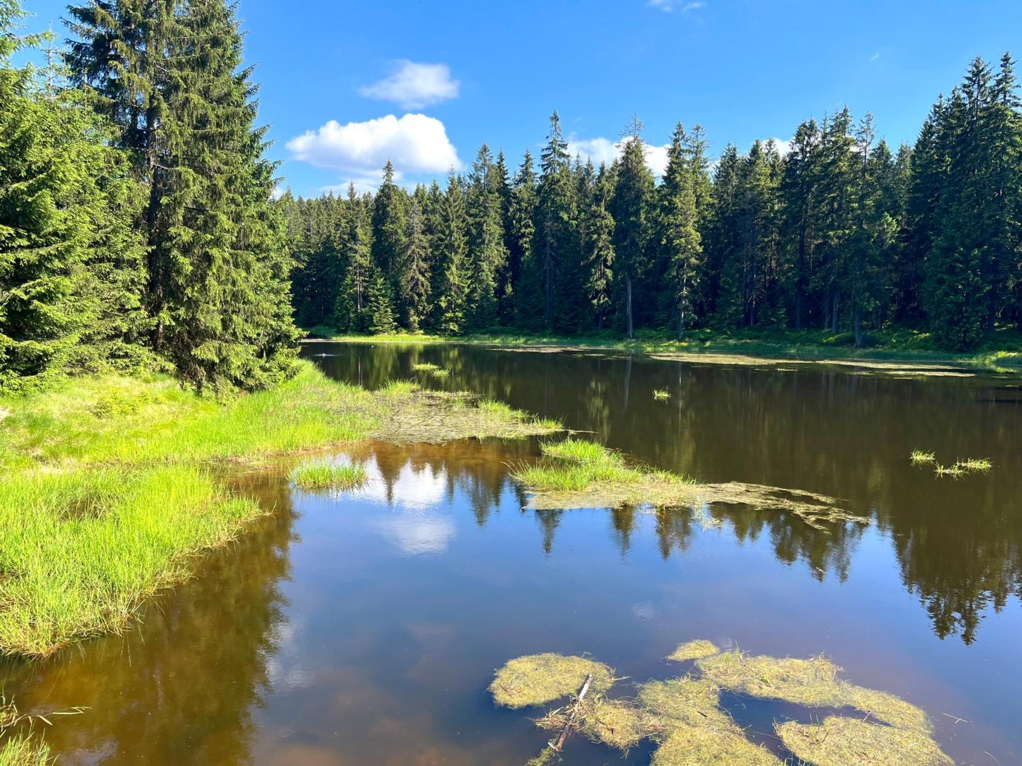 Apartmany V Lese Bedřichov Exteriör bild