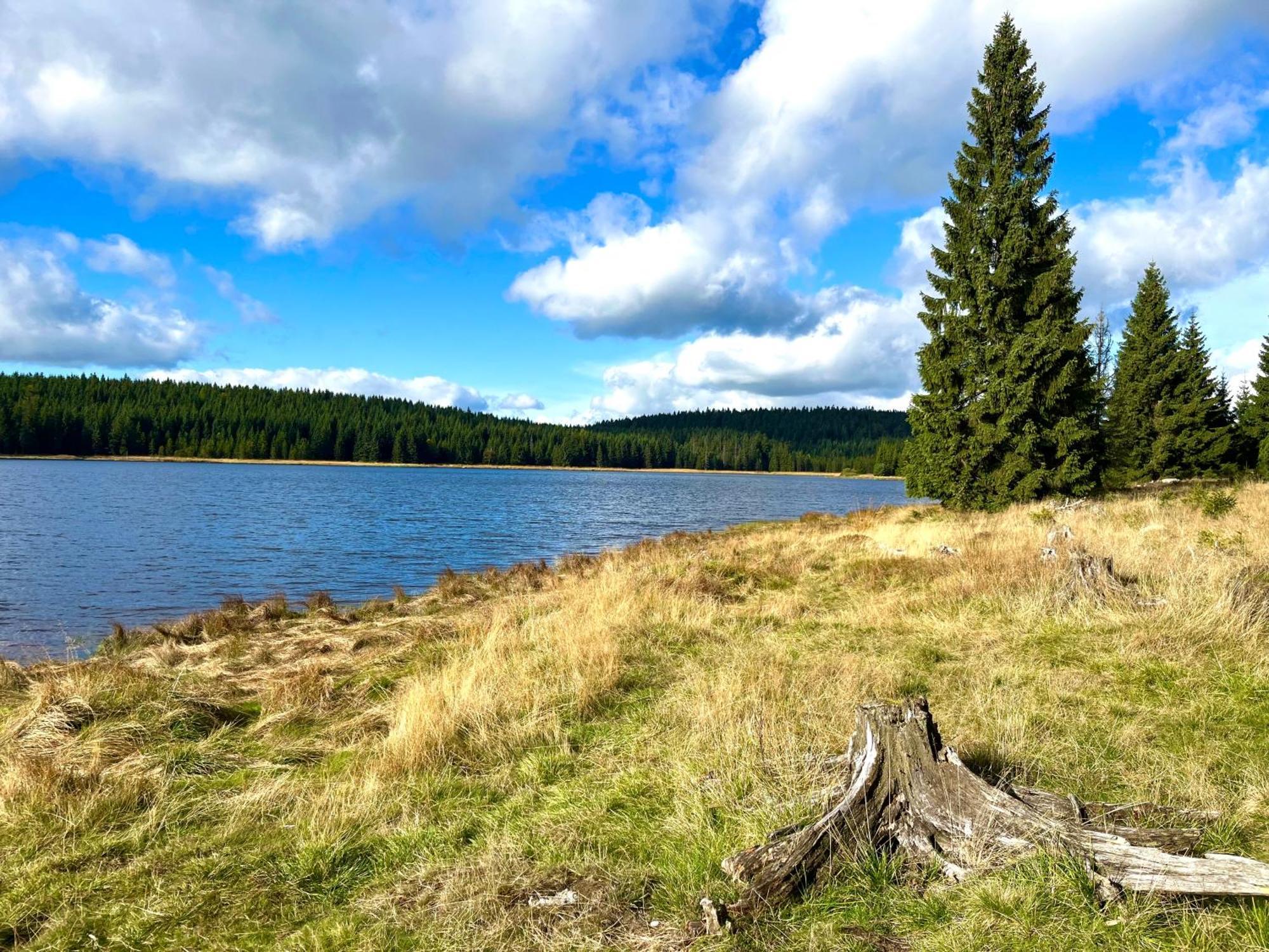 Apartmany V Lese Bedřichov Exteriör bild