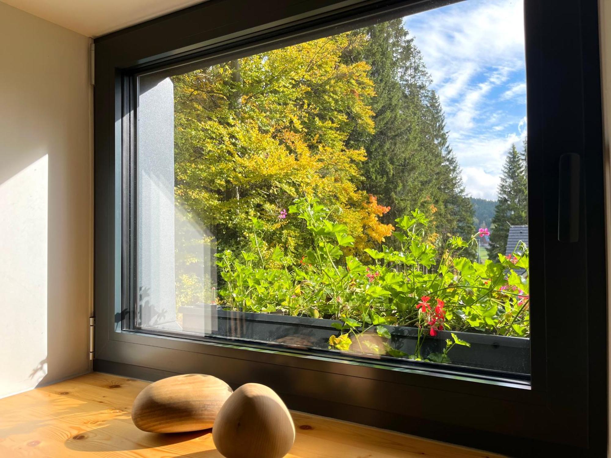 Apartmany V Lese Bedřichov Exteriör bild