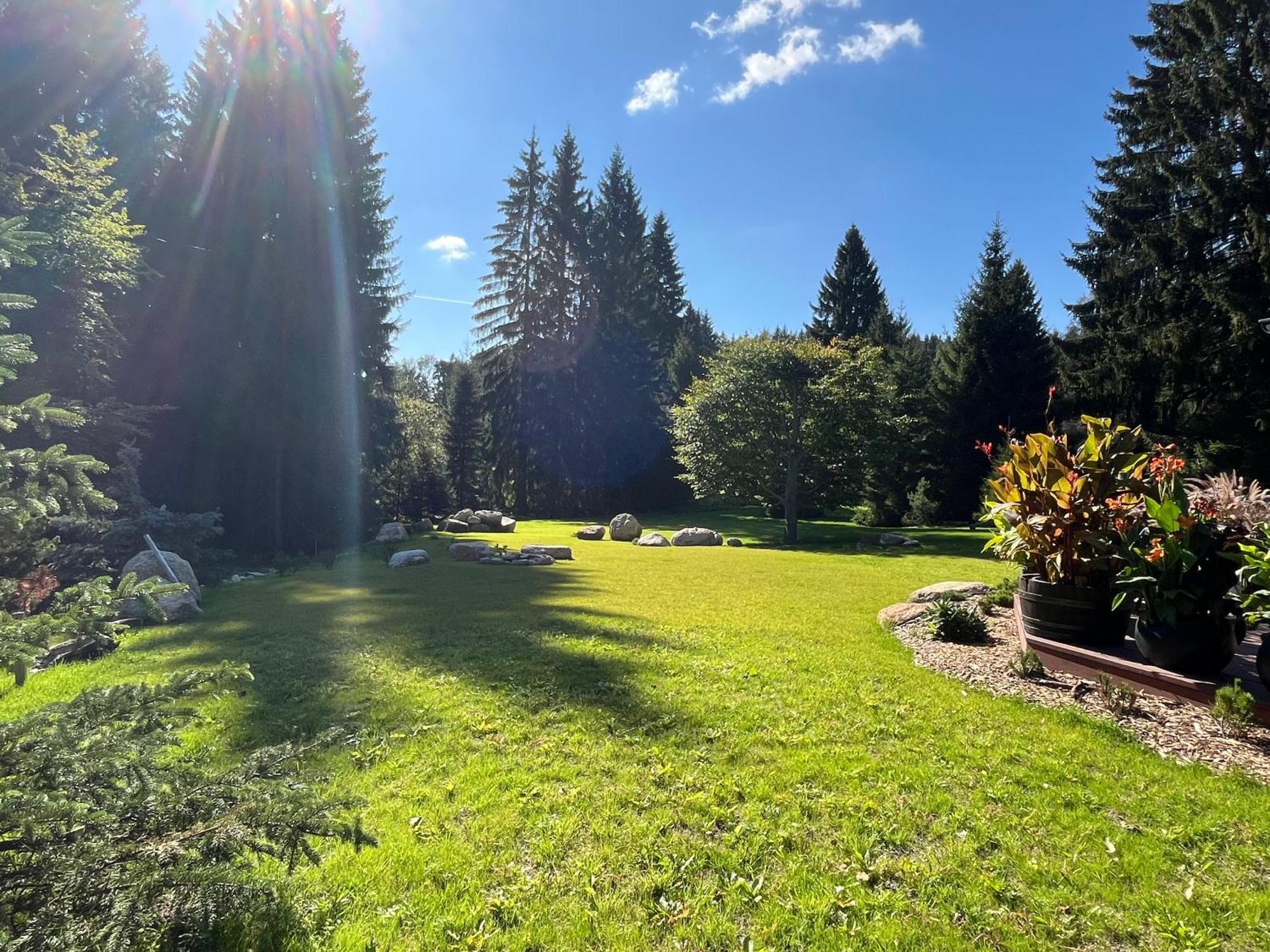 Apartmany V Lese Bedřichov Exteriör bild